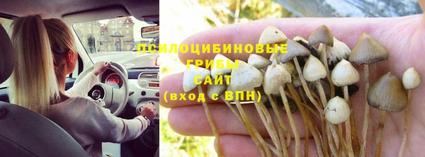 стафф Ханты-Мансийск