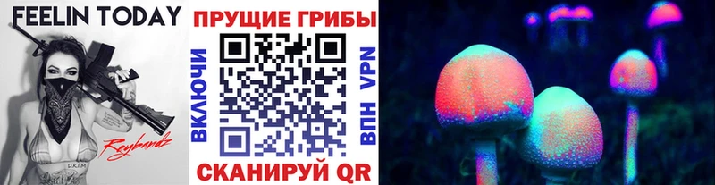 hydra зеркало Томск Галлюциногенные грибы Psilocybe