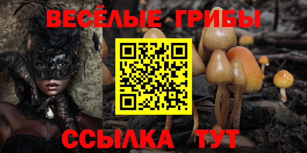 Псилоцибиновые грибы GOLDEN TEACHER  Вход с VPN  Томск 